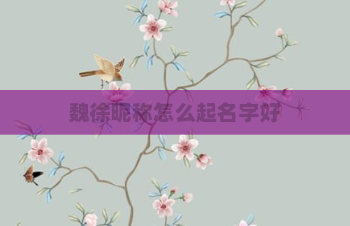 魏徐昵称怎么起名字好
