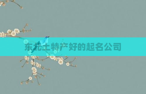 东北土特产好的起名公司