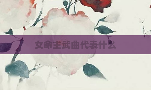 女命主武曲代表什么