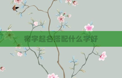宥字起名搭配什么字好