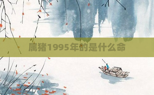 属猪1995年的是什么命