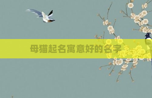 母猫起名寓意好的名字