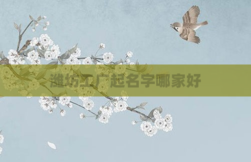 潍坊工厂起名字哪家好