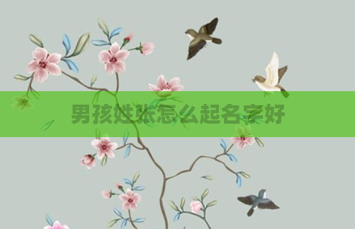 男孩姓张怎么起名字好