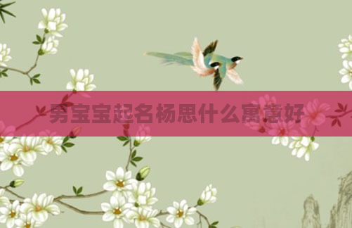男宝宝起名杨思什么寓意好