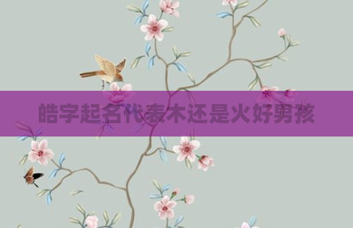 皓字起名代表木还是火好男孩