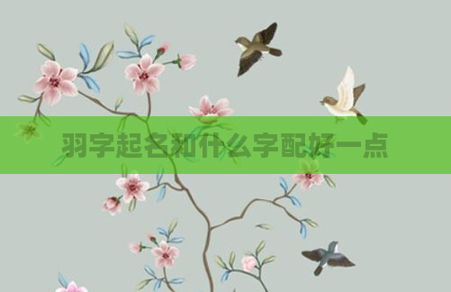 羽字起名和什么字配好一点