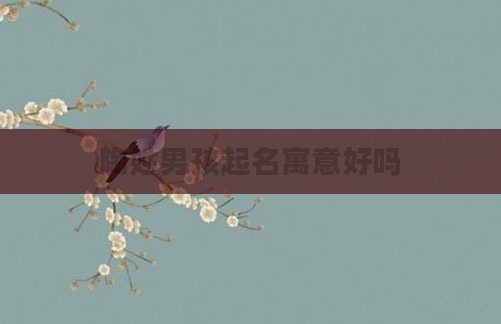 陶姓男孩起名寓意好吗