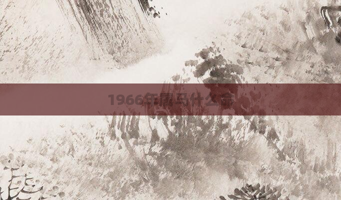 1966年属马什么命