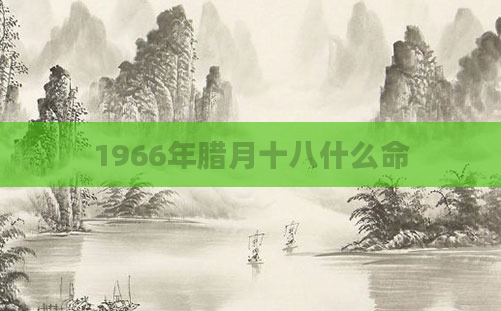 1966年腊月十八什么命