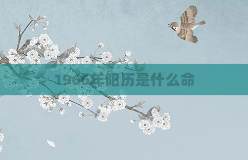 1966年阳历是什么命