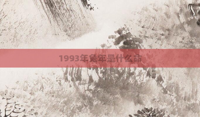 1993年兔年是什么命