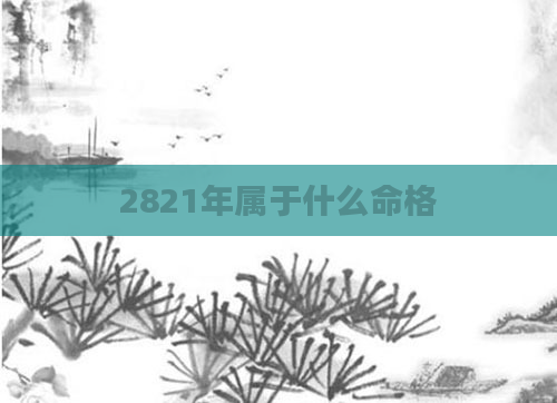 2821年属于什么命格