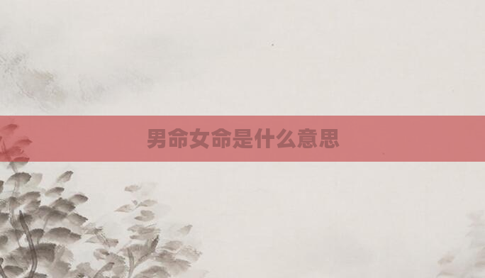 男命女命是什么意思