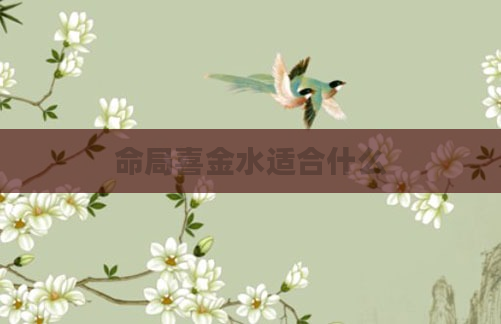 命局喜金水适合什么
