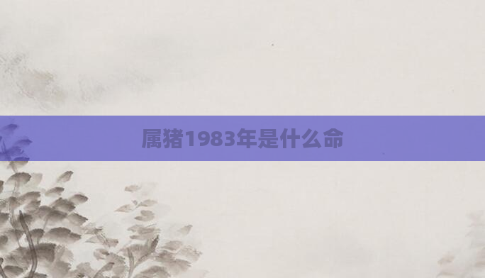 属猪1983年是什么命