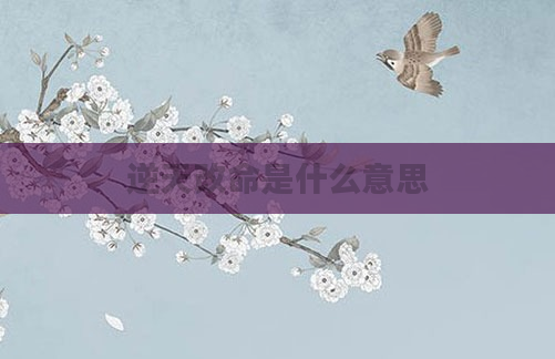 逆天改命是什么意思