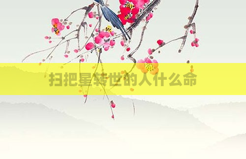 扫把星转世的人什么命