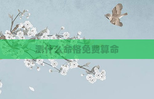 测什么命格免费算命