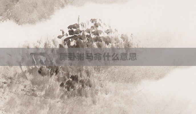 算卦驸马命什么意思