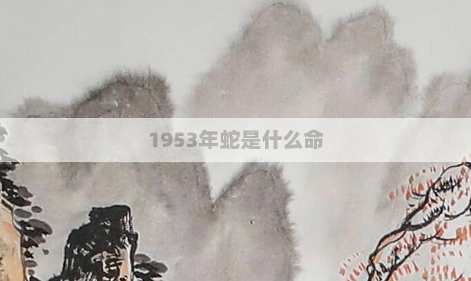 1953年蛇是什么命