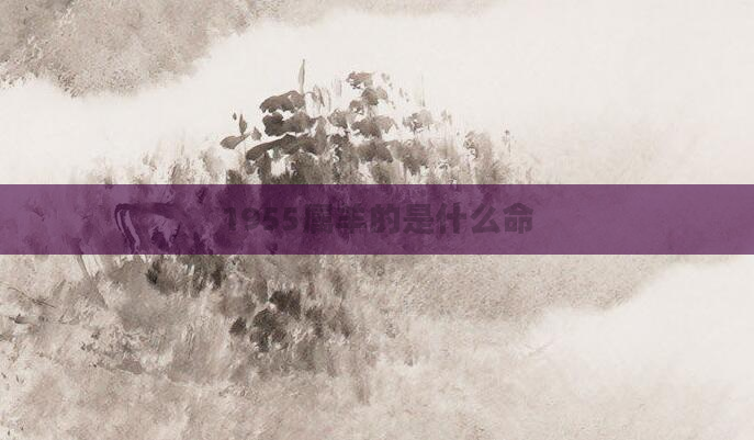 1955属羊的是什么命