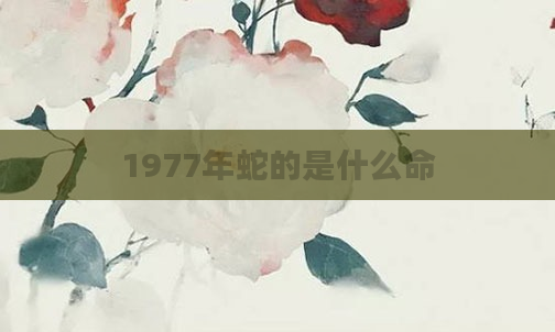1977年蛇的是什么命