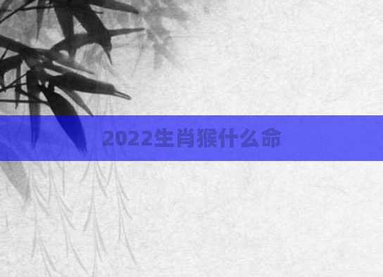 2022生肖猴什么命