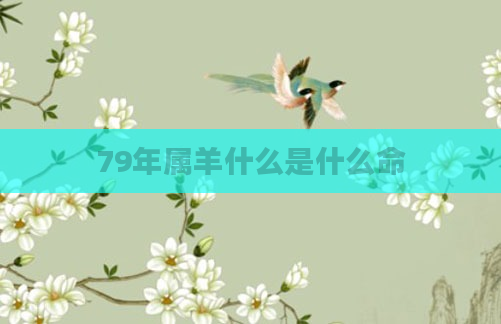 79年属羊什么是什么命