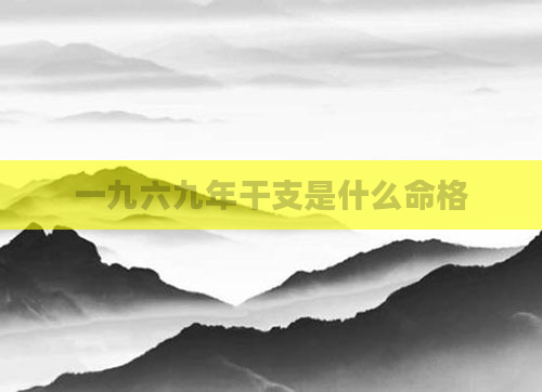 一九六九年干支是什么命格