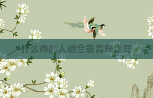 什么命的人适合去青岛定居