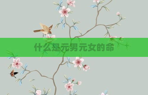 什么是元男元女的命