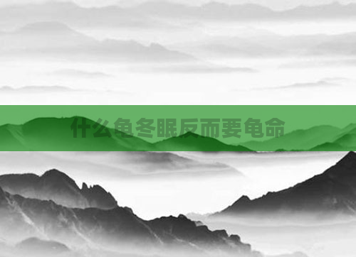 什么龟冬眠反而要龟命