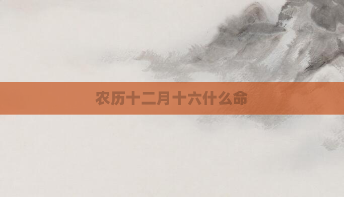 农历十二月十六什么命
