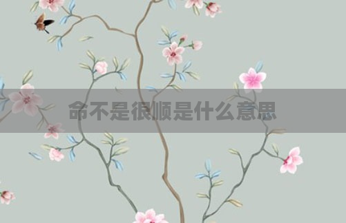 命不是很顺是什么意思