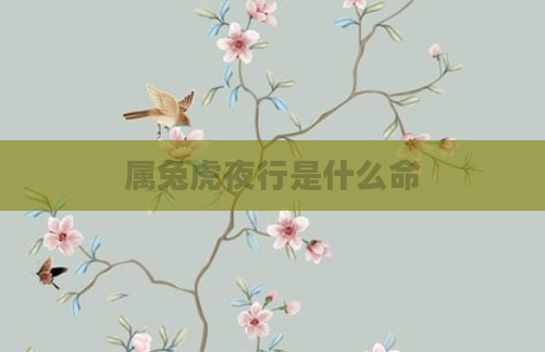 属兔虎夜行是什么命