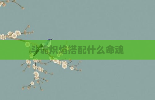 斗诡炽焰搭配什么命魂