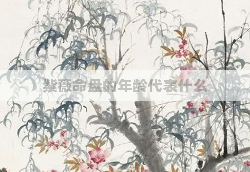紫薇命盘的年龄代表什么