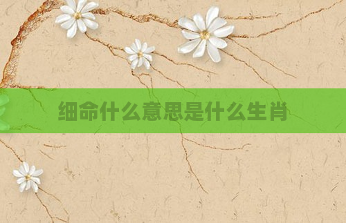 细命什么意思是什么生肖