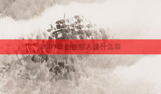 2007年出生的人是什么命
