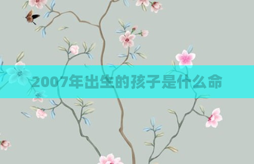 2007年出生的孩子是什么命