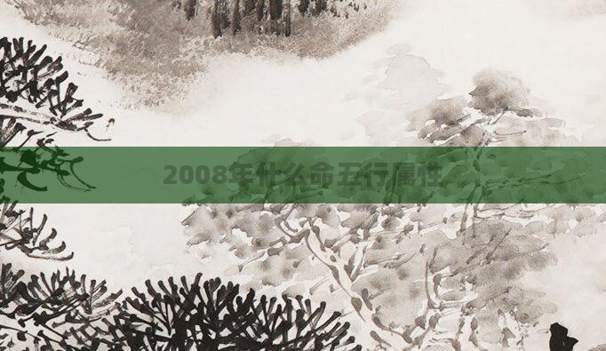 2008年什么命五行属性