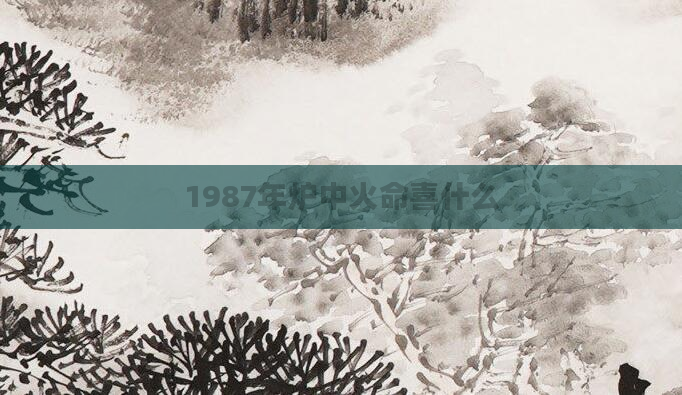 1987年炉中火命喜什么