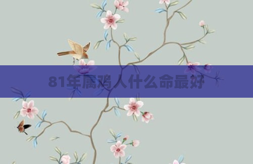 81年属鸡人什么命最好