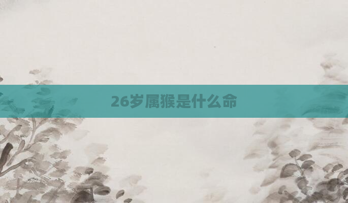 26岁属猴是什么命