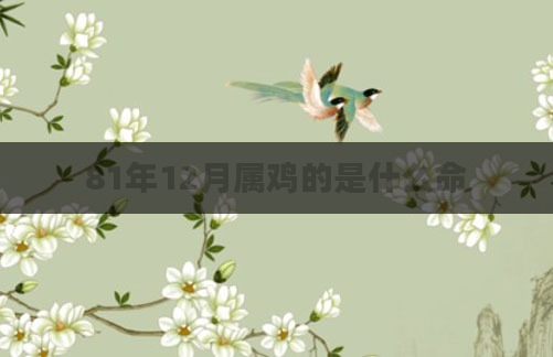 81年12月属鸡的是什么命
