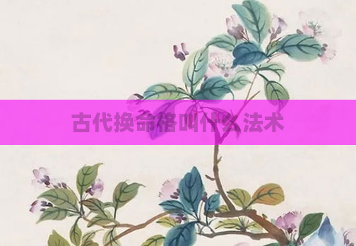 古代换命格叫什么法术