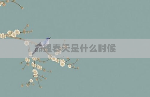 命理春天是什么时候