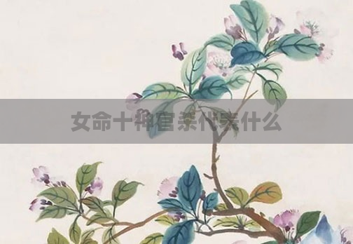 女命十神官杀代表什么