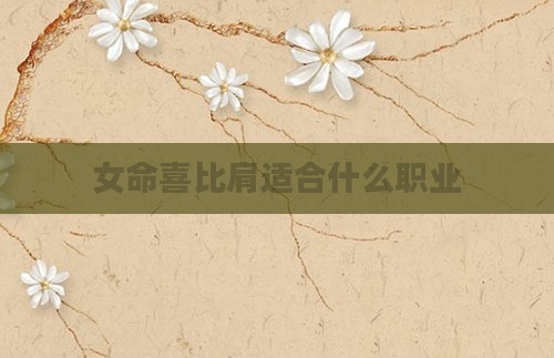 女命喜比肩适合什么职业